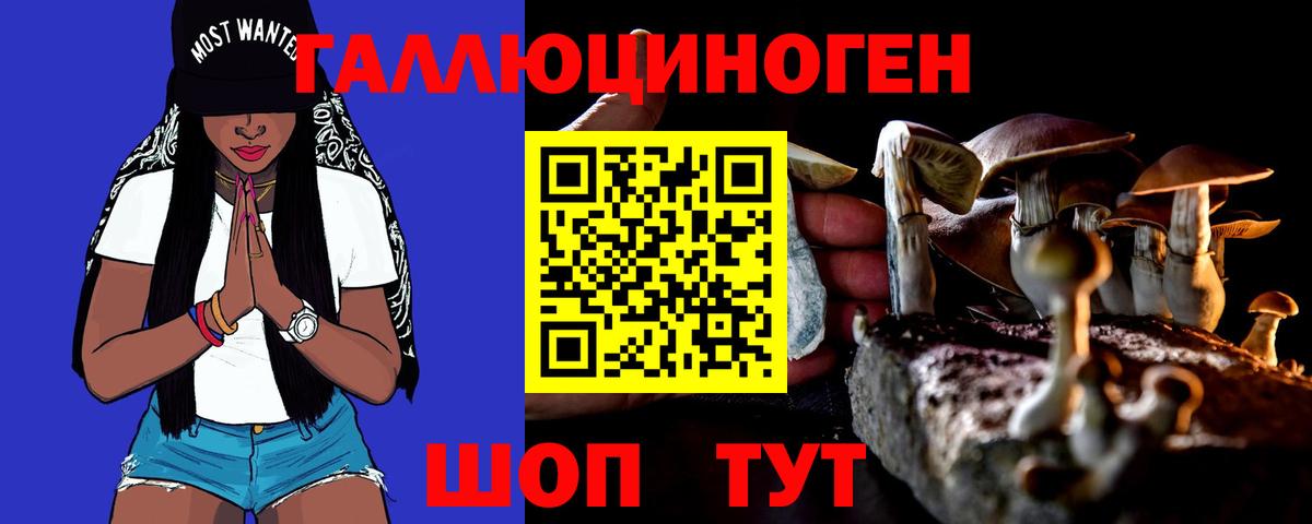 Богородицк  Псилоцибиновые грибы Magic Shrooms  Псилоцибиновые грибы Cubensis  Вход с VPN 
